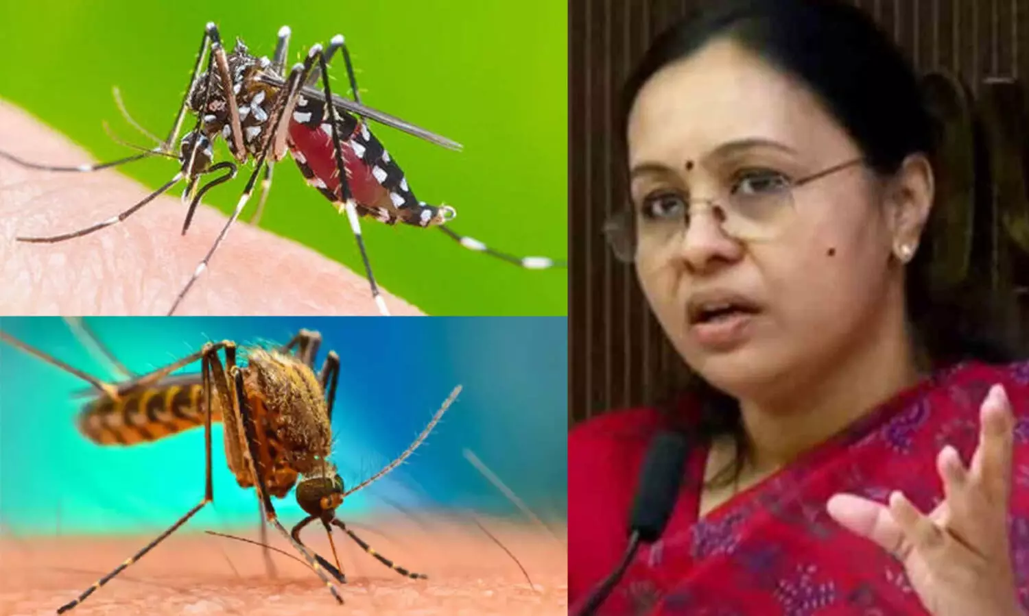 ഡെങ്കിപ്പനി വ്യാപന സാധ്യത, വരുന്ന ഞായറാഴ്ച വീടുകളില്‍ ഡ്രൈ ഡേ ആചരിക്കണമെന്ന് വീണ ജോര്‍ജ്