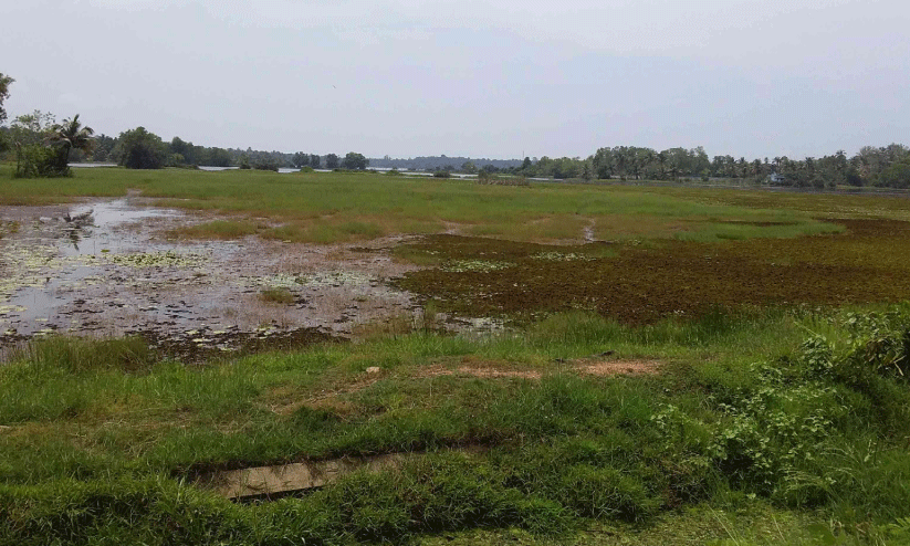 സോളാർ പദ്ധതി നടപ്പാക്കുന്ന സ്ഥലം സോളാർ പദ്ധതി നടപ്പാക്കുന്ന സ്ഥലം