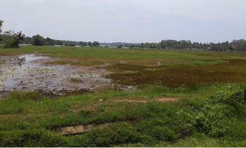 സോ​ളാ​ർ പ​ദ്ധ​തി ന​ട​പ്പാക്കു​ന്ന സ്ഥ​ലം