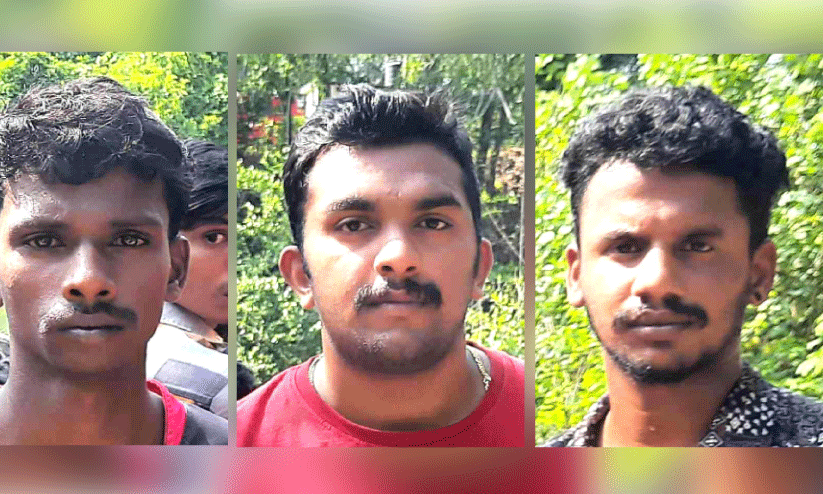 വിനീത്, വൈഷ്ണവ്, രാഹുൽ വിനീത്, വൈഷ്ണവ്, രാഹുൽ