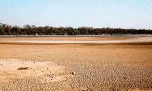 വേ​ന​ൽ: 75 ശ​ത​മാ​നം ത​ടാ​ക​ങ്ങ​ളും വ​റ്റി