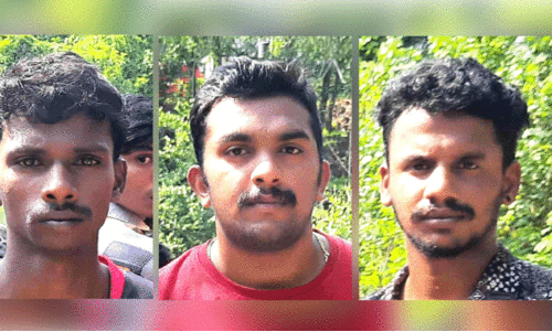 വിനീത്, വൈഷ്ണവ്, രാഹുൽ വിനീത്, വൈഷ്ണവ്, രാഹുൽ