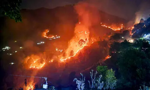 ഉത്തരാഖണ്ഡ് കാട്ടുതീ: അഞ്ചു മരണം, 1300 ഹെക്ടർ കത്തിനശിച്ചു