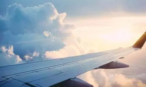 വിമാനം ഒരുമണിക്കൂർ വൈകി; കാരണം കാബിൻ ​ക്രൂവിന് ഭക്ഷണം വാങ്ങിക്കൊടുത്തതിനാലെന്ന് സമ്മതിച്ച് പൈലറ്റ്