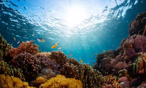 ocean temperature 89789