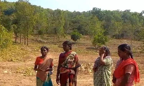 ഭൂമി കൈയേറ്റക്കാരെ ഭയന്ന് അട്ടപ്പാടിയിലെ മൂലഗംഗൽ ആദിവാസി ഊര്