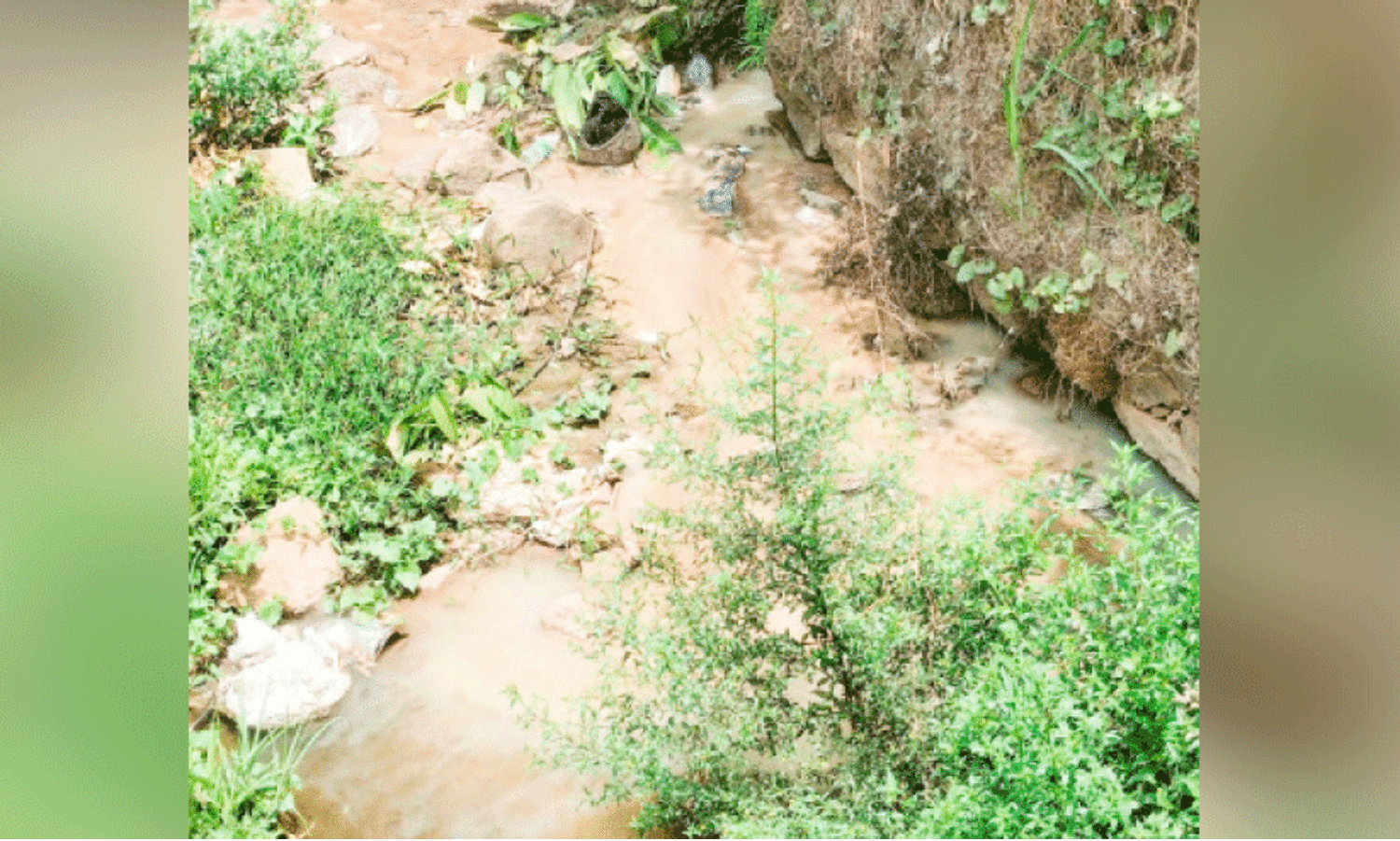 tolet waste flown to streams