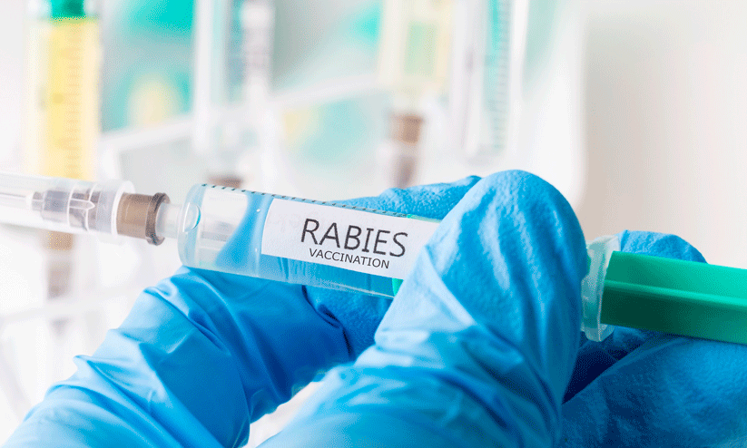 Having the rabies vaccine at the general hospital helped Having the rabies vaccine at the general hospital helped