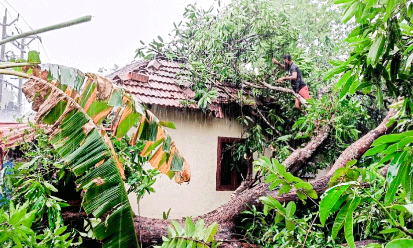 tree fell on house in rain