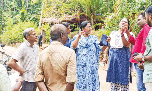 വെ​സ്റ്റ് നൈ​ൽ പ​നി; പാ​ല​ക്കാ​ട് ജില്ലയിൽ ജാഗ്രത നിർദേശം​