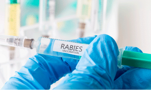 Having the rabies vaccine at the general hospital helped Having the rabies vaccine at the general hospital helped