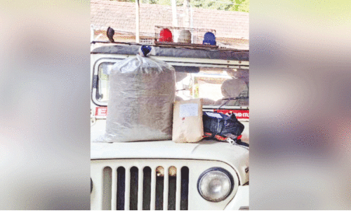 drugs caught drugs caught