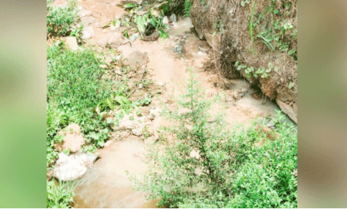 tolet waste flown to streams