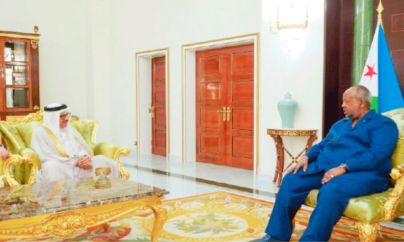 Foreign Minister held meeting with Djibouti President