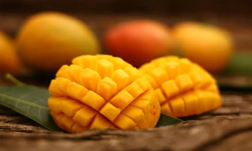 ലാ​ൽ​ബാ​​ഗ് ബൊ​ട്ടാ​ണി​ക്ക​ൽ ​ഗാ​ർ​ഡ​നി​ലെ മാ​മ്പ​ഴ​മേ​ള 23 മു​ത​ൽ