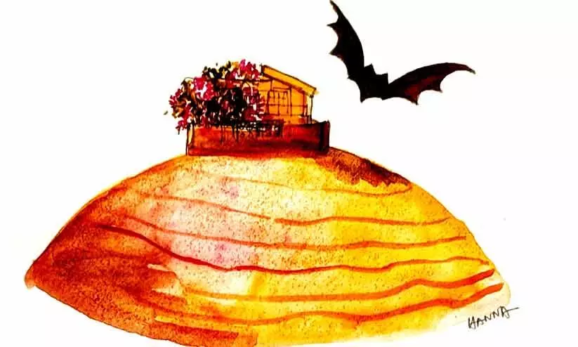 ചുറ്റികമുഴക്കം