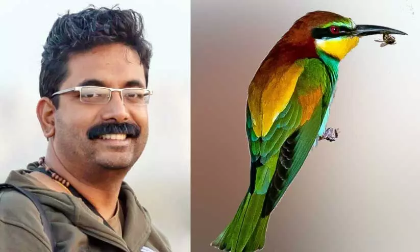 world migratory bird day world migratory bird day