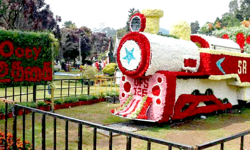 ooty flower fair