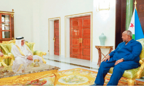 Foreign Minister held meeting with Djibouti President