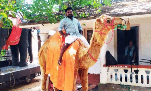 നി​കേ​ഷ് ക​ണ്ണ​ന്‍