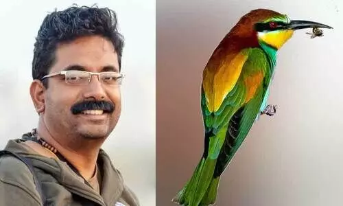 world migratory bird day