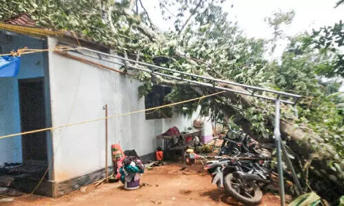 കാറ്റിലും മഴയിലും കനത്ത നാശനഷ്ടം