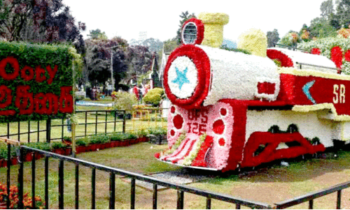 ooty flower fair