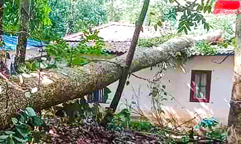 house damaged