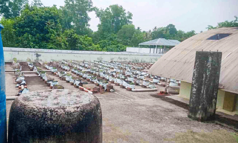 terrace farming terrace farming