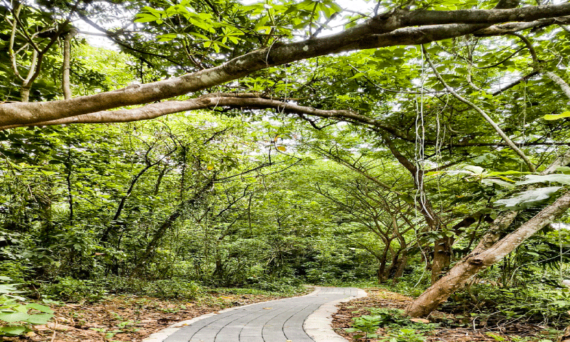 kuttivanam kuttivanam