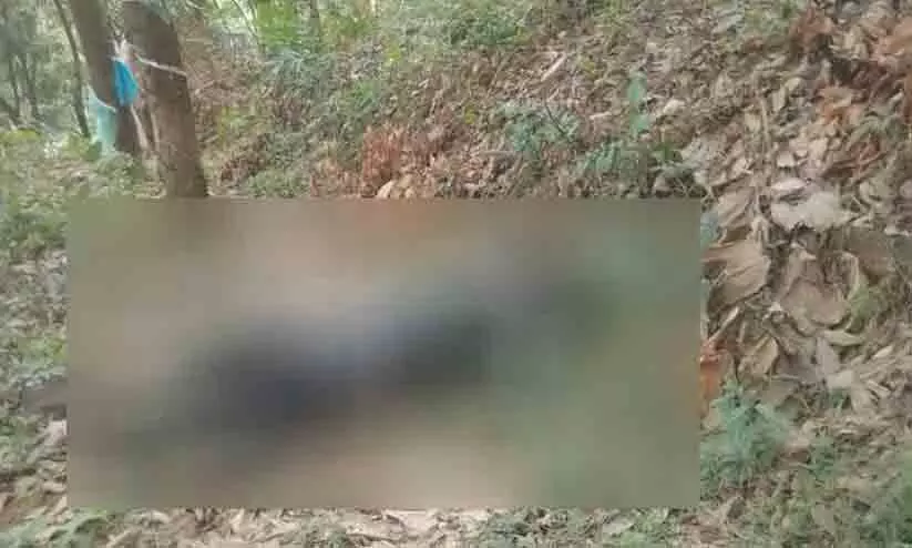 An unidentified body was found in a rubber plantation in Chippilithode