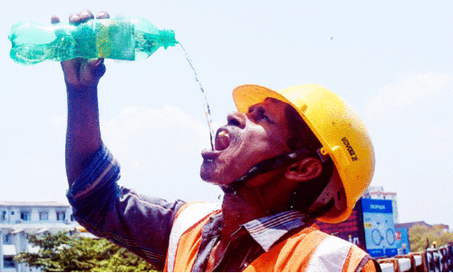 ദാ​ഹ​മ​ക​റ്റു​ന്ന തൊ​ഴി​ലാ​ളി