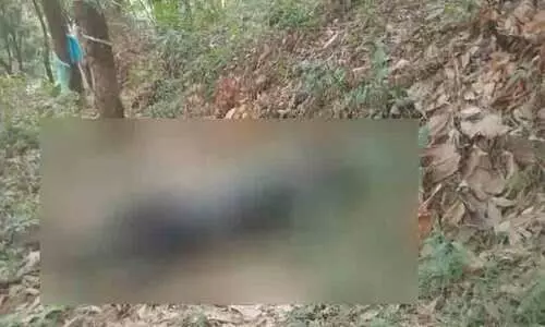 An unidentified body was found in a rubber plantation in Chippilithode