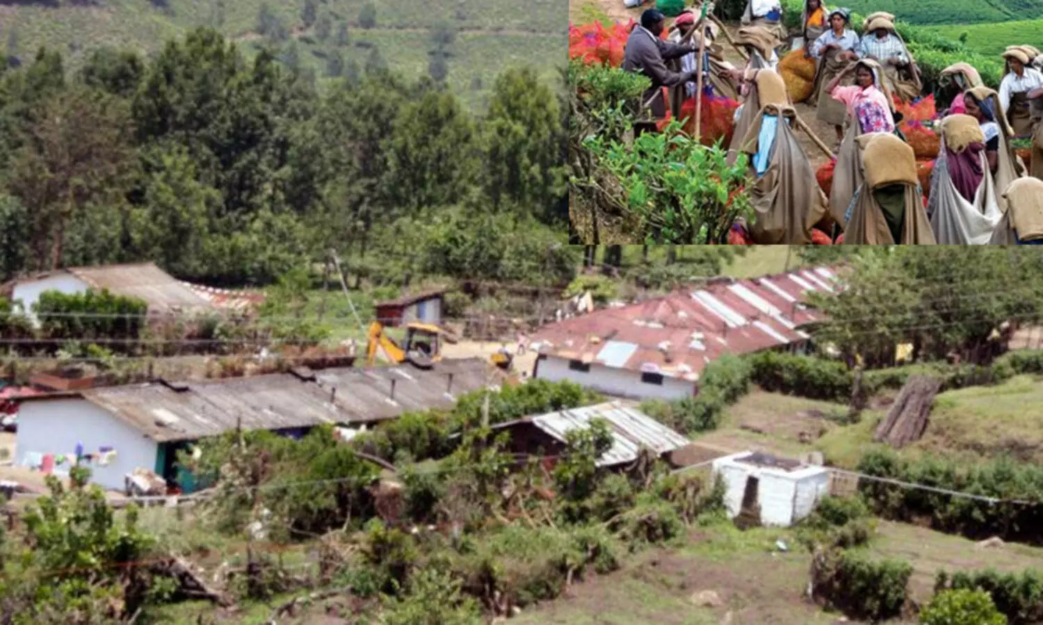 തോട്ടം മേഖലയിൽ ഊർജിത പരിശോധനക്കൊരുങ്ങി തൊഴിൽ വകുപ്പ്