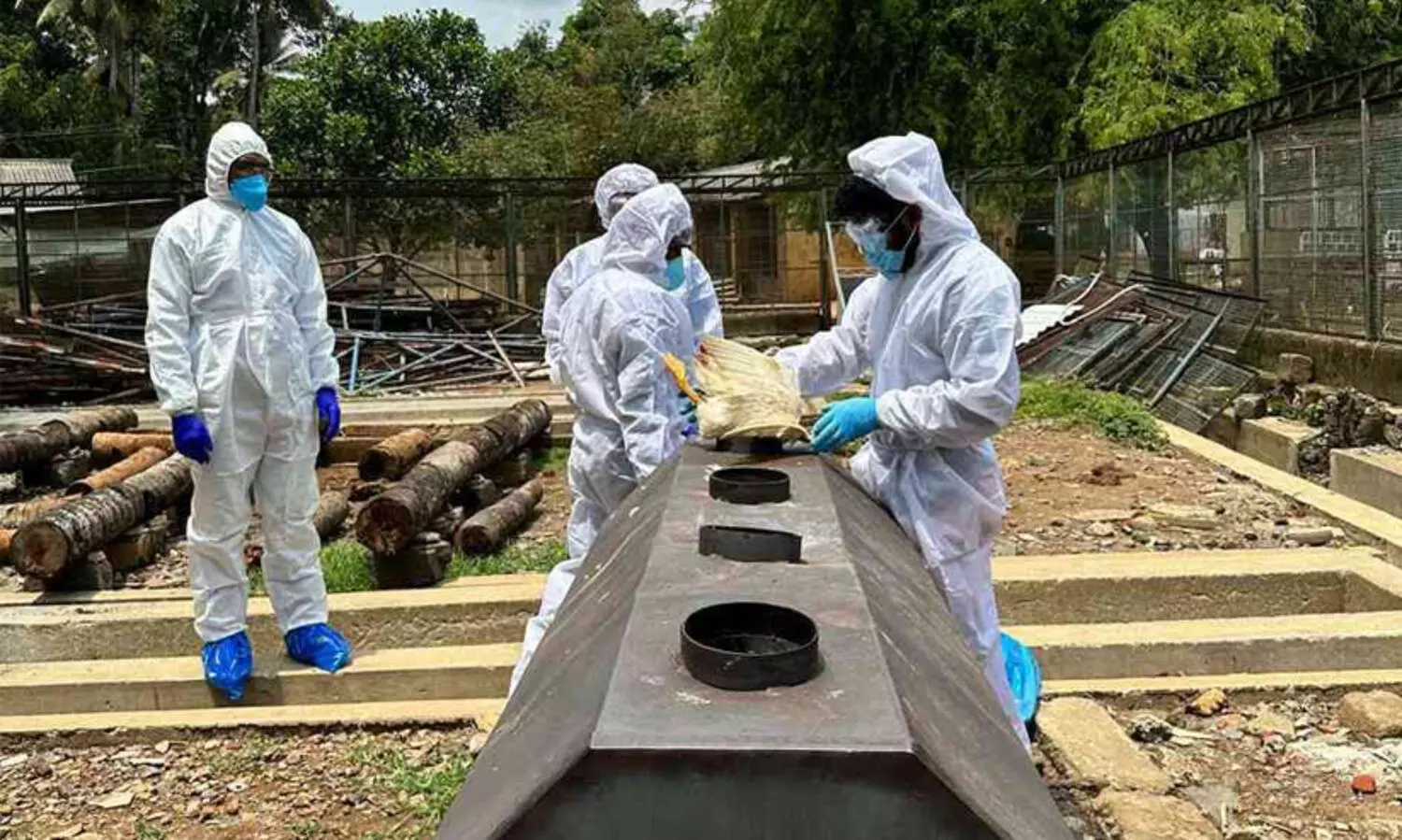 പക്ഷിപ്പനി: നിരണം ഫാമിലെ 4000 ത്തോളം താറാവുകളെ കൊന്നൊടുക്കി