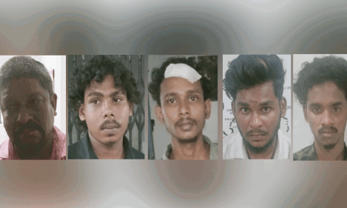 വേണു, ആകാശ്, ആരോമൽ , വിഷ്ണു, അഭിജിത്ത് വേണു, ആകാശ്, ആരോമൽ , വിഷ്ണു, അഭിജിത്ത്