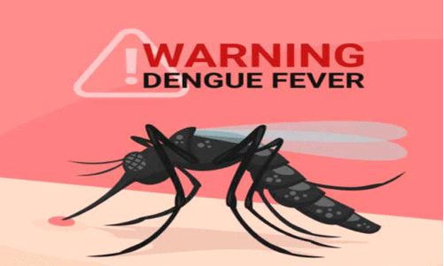 Dengue fever,
