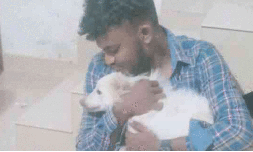 ദിൽഷിത്തും വളർത്തുനായും