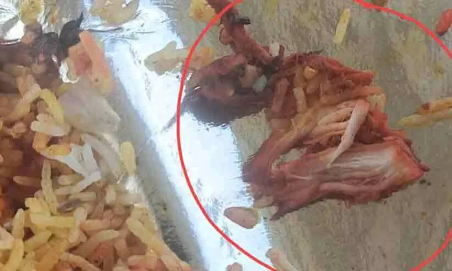 വെജ് ബിരിയാണിയിൽ ചിക്കൻ പീസ്; സൊമാറ്റോയുടെ മറുപടി ഇങ്ങനെ