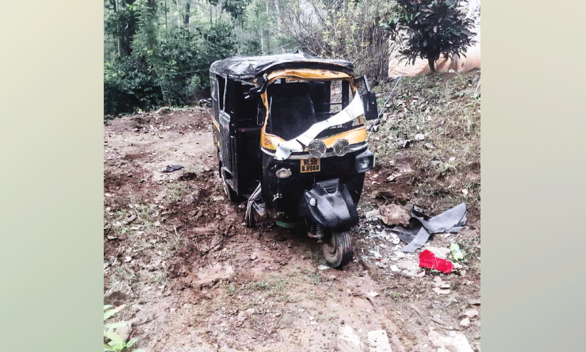 wild animal attack wild animal attack