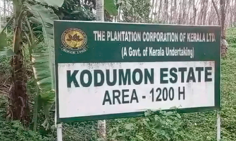 koduman estate koduman estate