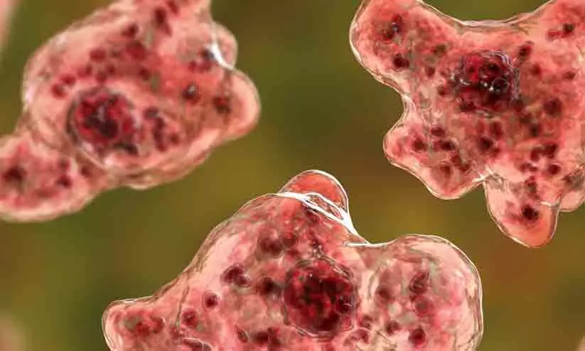 അമീബിക് മസ്തിഷ്‍ക ജ്വരം ബാധിച്ച് അഞ്ചു വയസ്സുകാരി ഗുരുതരാവസ്ഥയിൽ