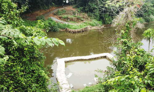 Mangatupulam-Hajiarpally suspension bridge