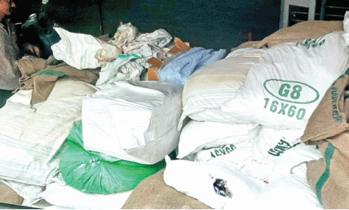 ഹാൻസ് ഹാൻസ്