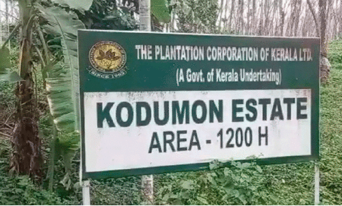 koduman estate