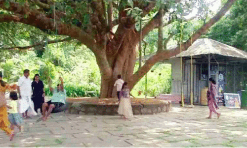 ക​ക്ക​യം ഇ​ക്കോ ടൂ​റി​സം കേ​ന്ദ്രം