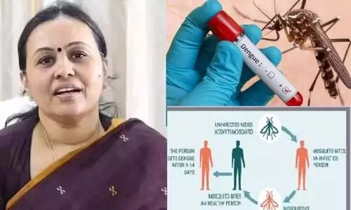 ഇടവിട്ടുള്ള മഴ, ഡെങ്കിപ്പനി വ്യാപനം ഉണ്ടാകാതിരിക്കാന്‍ ഊര്‍ജിത പ്രവര്‍ത്തനം അനിവാര്യമെന്ന് വീണ ജോര്‍ജ്