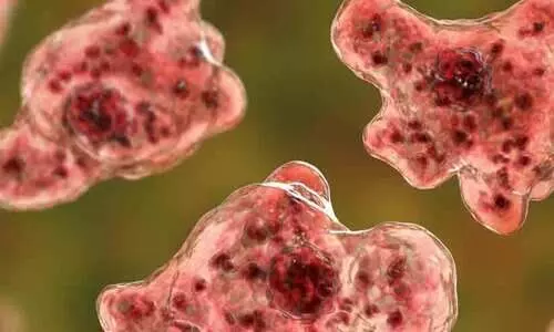 അമീബിക് മസ്തിഷ്‍ക ജ്വരം ബാധിച്ച് അഞ്ചു വയസ്സുകാരി ഗുരുതരാവസ്ഥയിൽ