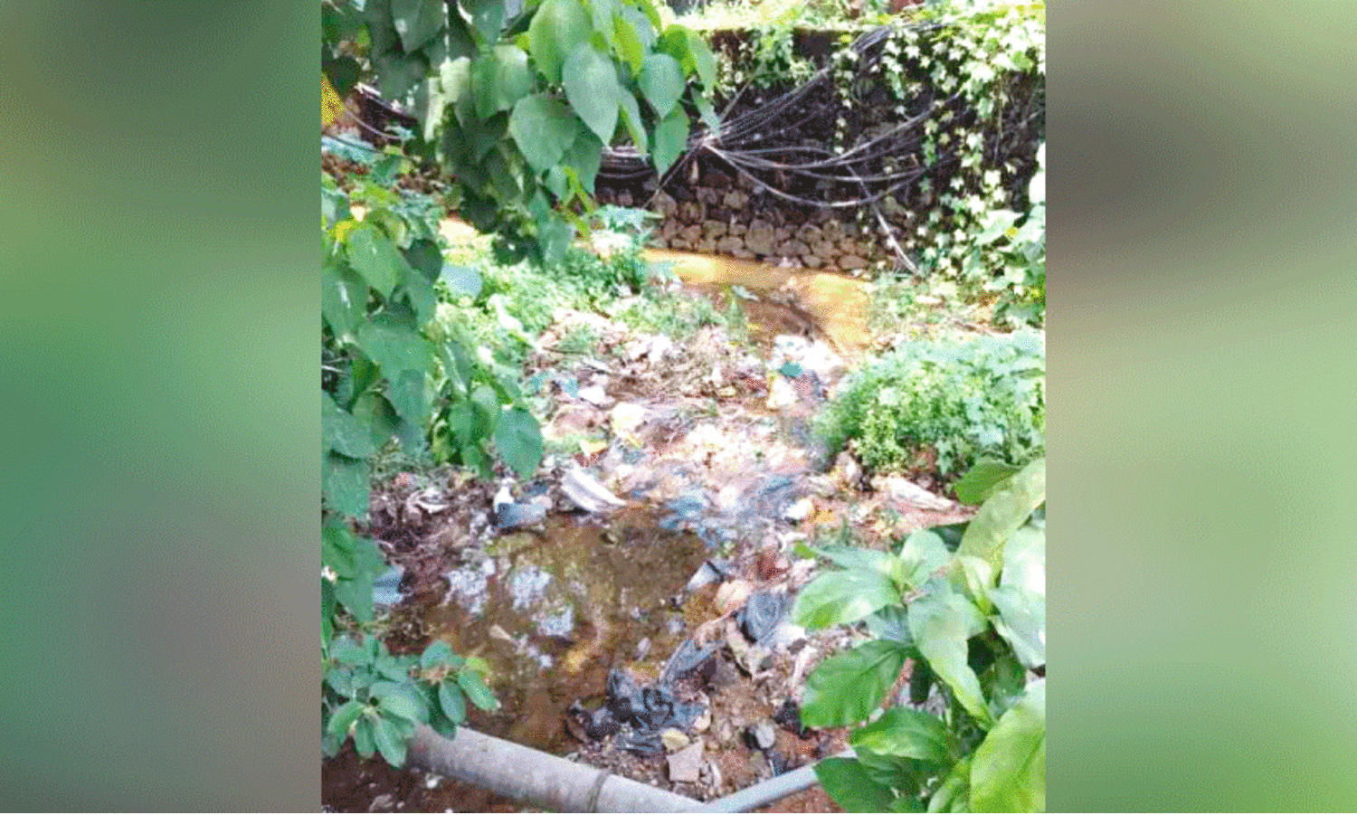 പദ്ധതികൾ പലത്; മറയാതെ മാലിന്യം