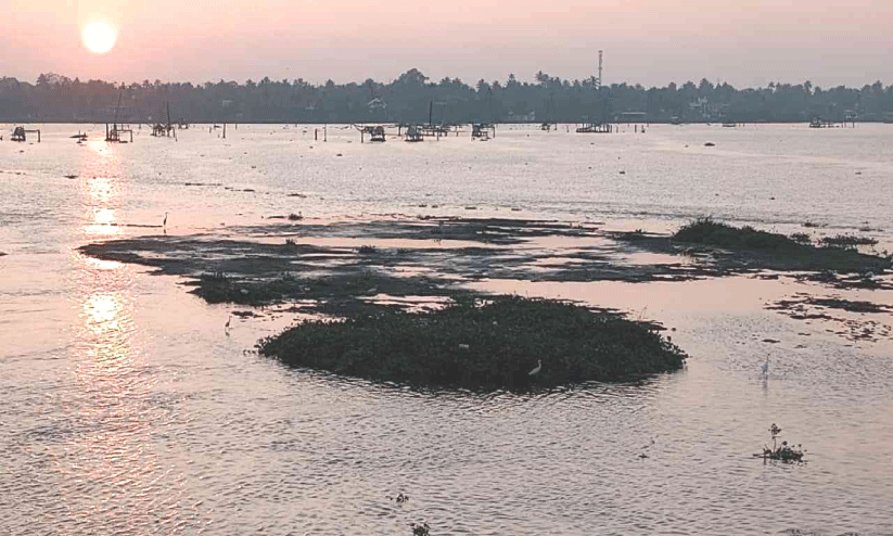 കൈതപ്പുഴകായലി​െല ‘ദ്വീപ്’; നടപടി വേണമെന്ന്​ തീരവാസികൾ